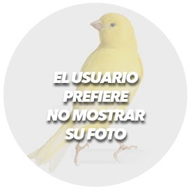 imagealt